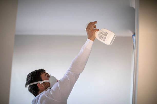 Best Commercial Mold Removal  in Delavan Lake, WI