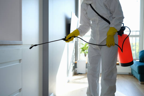 Best Office Mold Removal Services  in Delavan Lake, WI