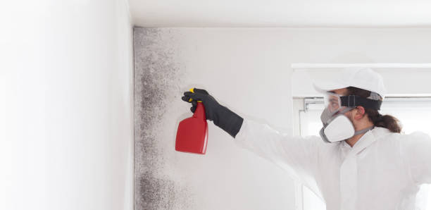 Best Attic Mold Removal  in Delavan Lake, WI